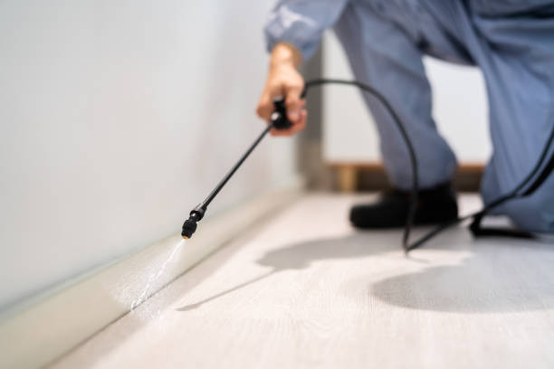 Licensed Termite Control service in Scott County County, MS - Nex Pest Control
