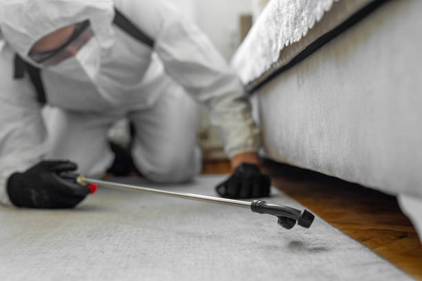 Professional Termite Control technician working in Scott County County, MS